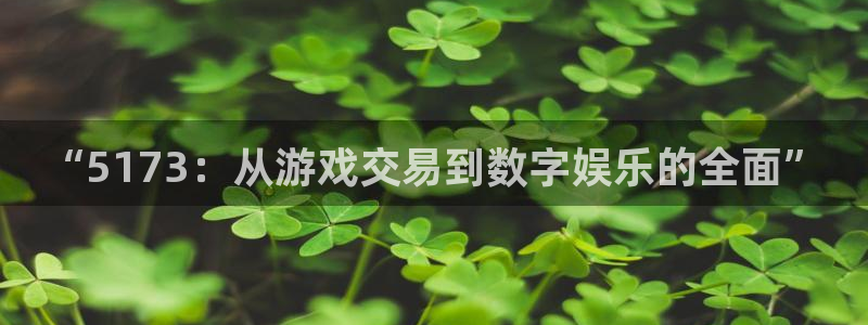 “5173：从游戏交易到数字娱乐的全面”
