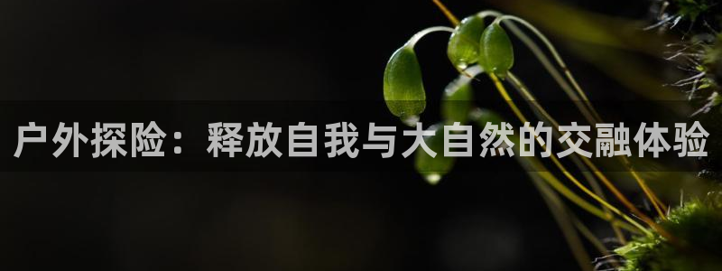 尊龙网站注册网：户外探险：释放自我与大自然的交融体验