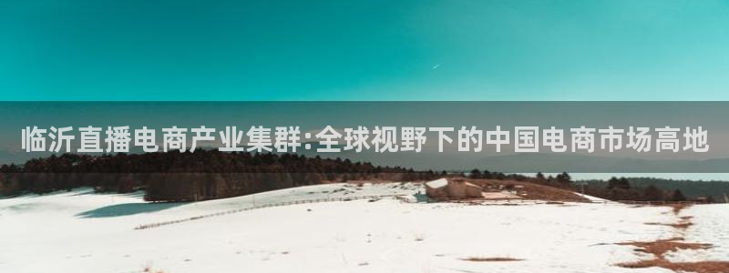 乐球直播官网入口在线观看：临沂直播电商产业集群:全球视野下的中国电商市场高地