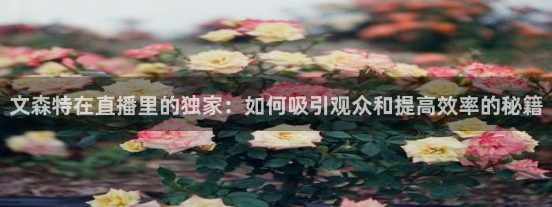 nba直播高清免费观看乐球直播：文森特在直播里的独家：如何吸引观众和提高效率的秘籍
