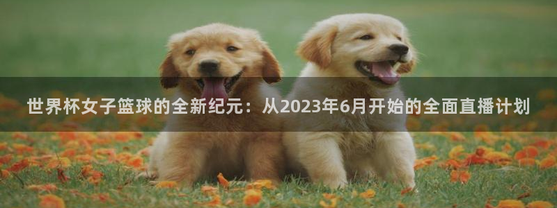 乐球直播下载：世界杯女子篮球的全新纪元：从2023年6月开始的全面直播计划