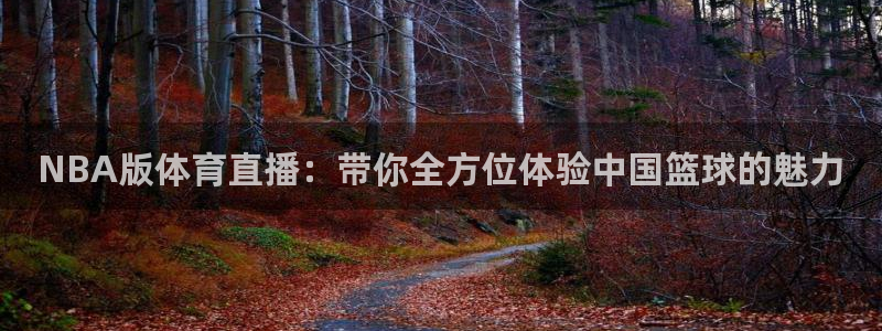 乐球吧直播在线看球：NBA版体育直播：带你全方位体验中国篮球的魅力
