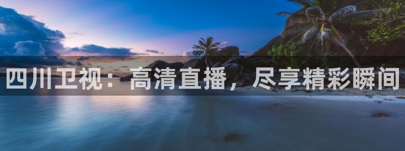 乐球直播篮球直播：四川卫视：高清直播，尽享精彩瞬间