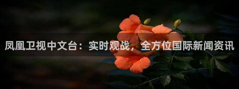 乐球直播nba在线：凤凰卫视中文台：实时观战，全方位国际新闻资讯